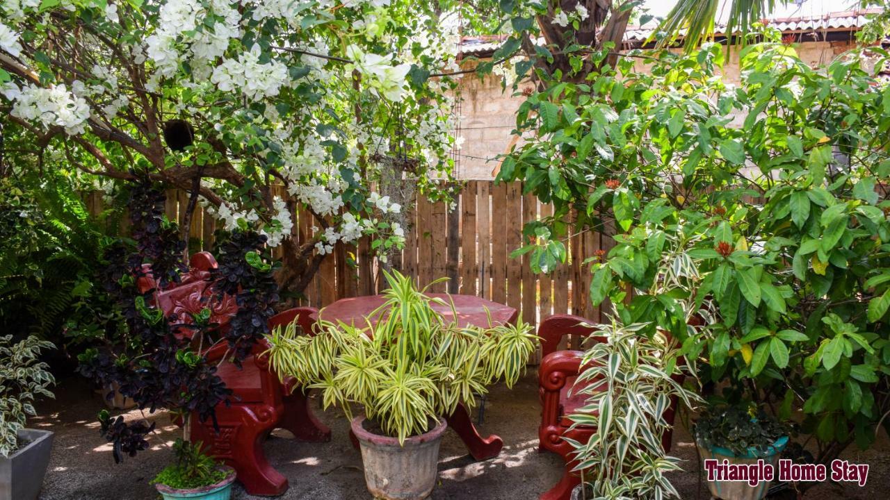 Triangle Home Stay Dambulla Buitenkant foto