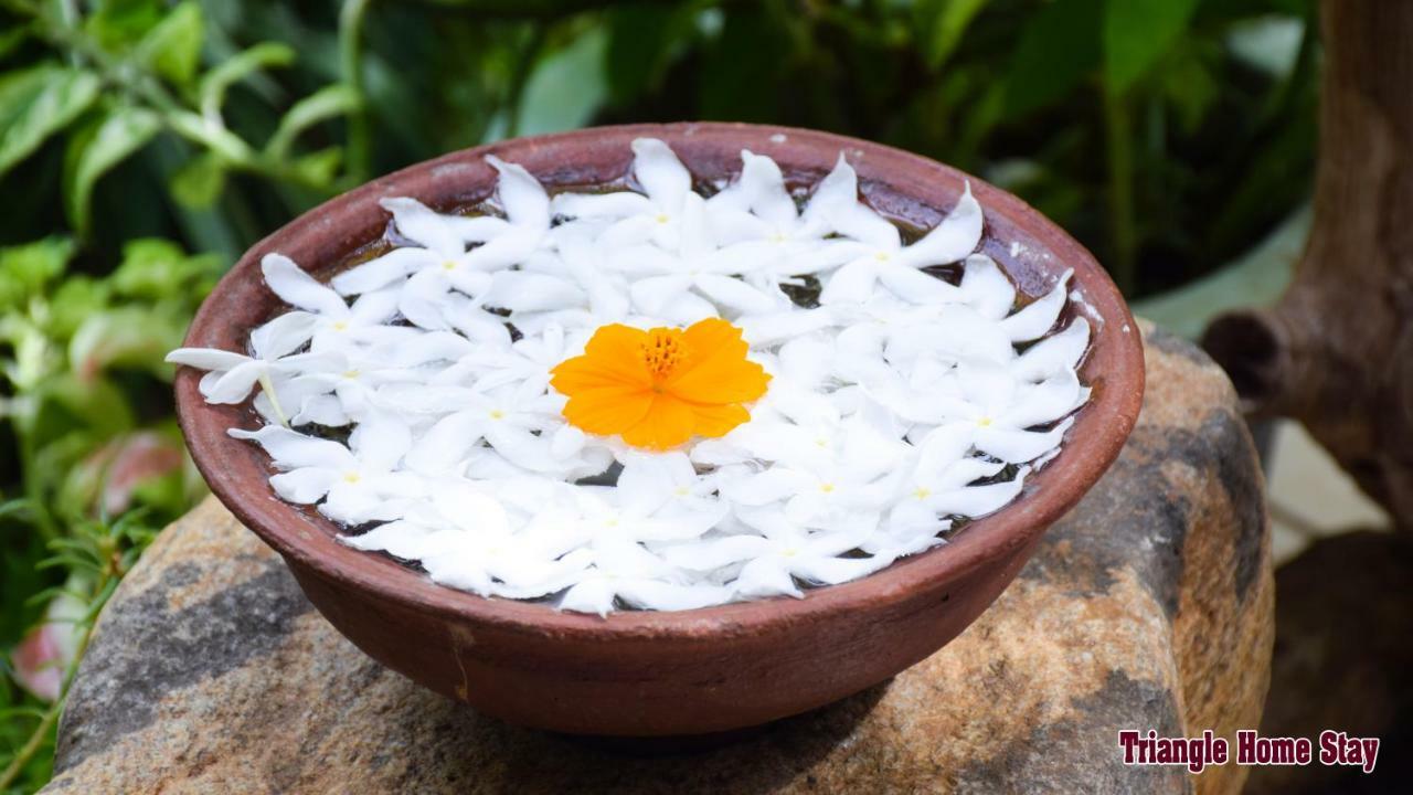 Triangle Home Stay Dambulla Buitenkant foto